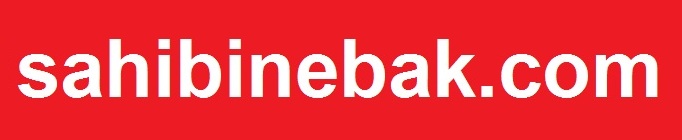 Sahibinebak Logo