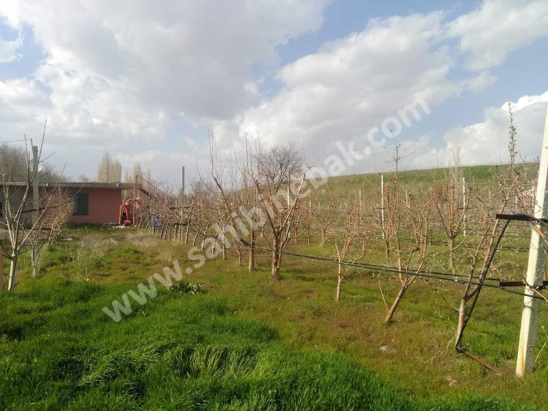 Niğde Merkez'de Sahibinden Satılık Tarla Bahçe