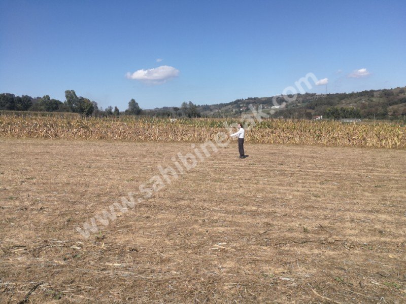 Takaslı Kefken sahile 15 km 4985 m2 yatırımlık Arsa araç ve daire takası olur