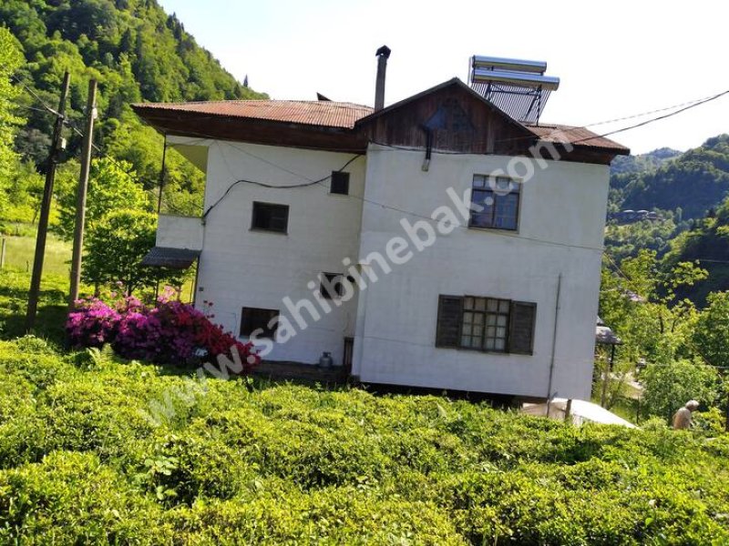 Rize Fırtına deresi manzaralı yeşilin içinde günlük haftalık aylık kiralık apart