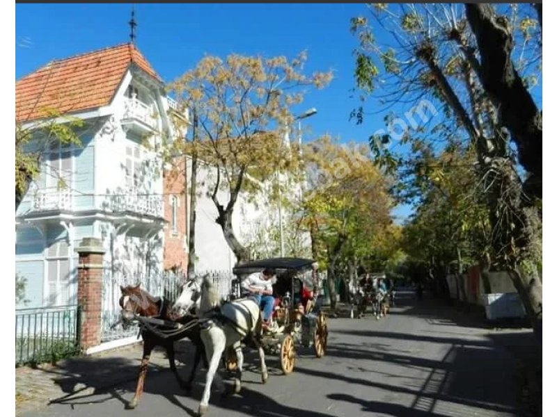 İSTANBUL BÜYÜKADADA SATILIK 2 KATLI 7+2 2 ŞÖMİNELİ 3 BANYO 3 MUTFAKLI KÖŞK