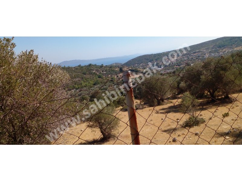 KARABURUN MORDOĞAN ĶÖYÜNDE SATILIK 8780 M2 TARLA