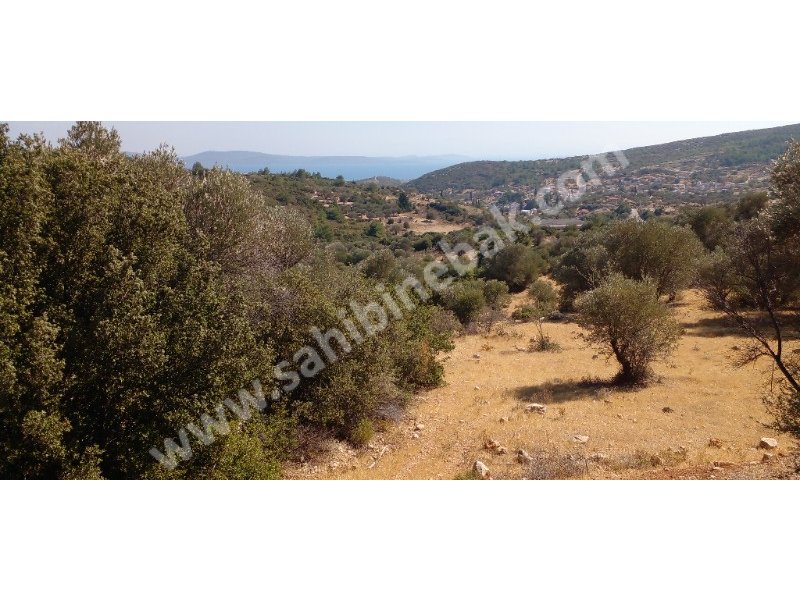 KARABURUN MORDOĞAN ĶÖYÜNDE SATILIK 8780 M2 TARLA