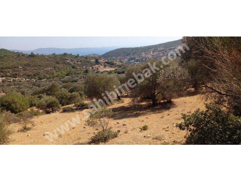 KARABURUN MORDOĞAN ĶÖYÜNDE SATILIK 8780 M2 TARLA