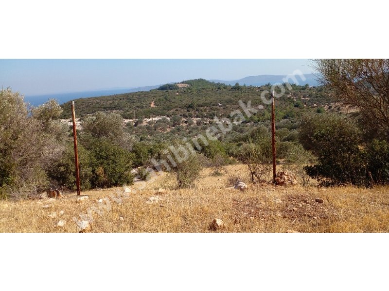 KARABURUN MORDOĞAN ĶÖYÜNDE SATILIK 8780 M2 TARLA