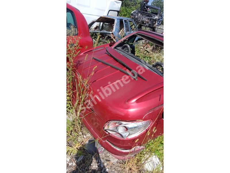 Peugeot 206 CC Bagaj Kapağı