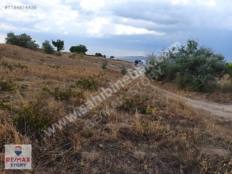 Antalya Elmalı'da Satılık 953 m2 Üzerinde Zeytin Ağaçlı Arsa