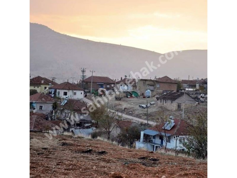 Antalya Elmalı'da Satılık 953 m2 Üzerinde Zeytin Ağaçlı Arsa