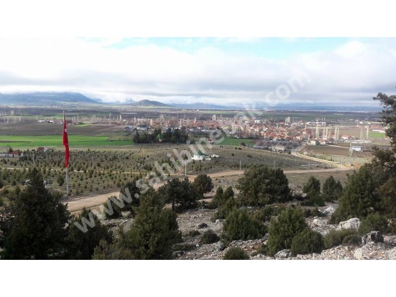 Antalya Elmalı'da Satılık 953 m2 Üzerinde Zeytin Ağaçlı Arsa