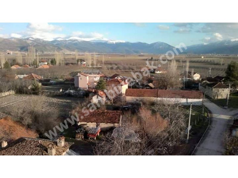 Antalya Elmalı'da Satılık 953 m2 Üzerinde Zeytin Ağaçlı Arsa