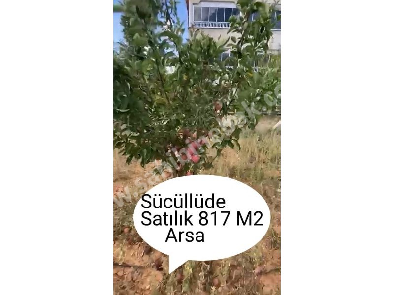 ISPARTA YALVAÇ SÜCÜLLÜ YENİ MAHALLE DE SATILIK 817 M2 ARSA