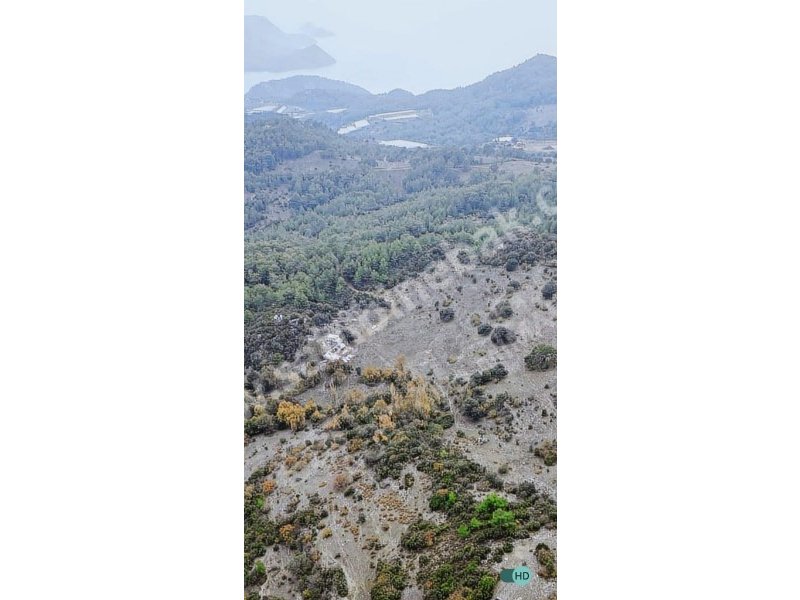 Antalya Kumluca Mavikent Mah. Satılık 165.000 m2 Arsa