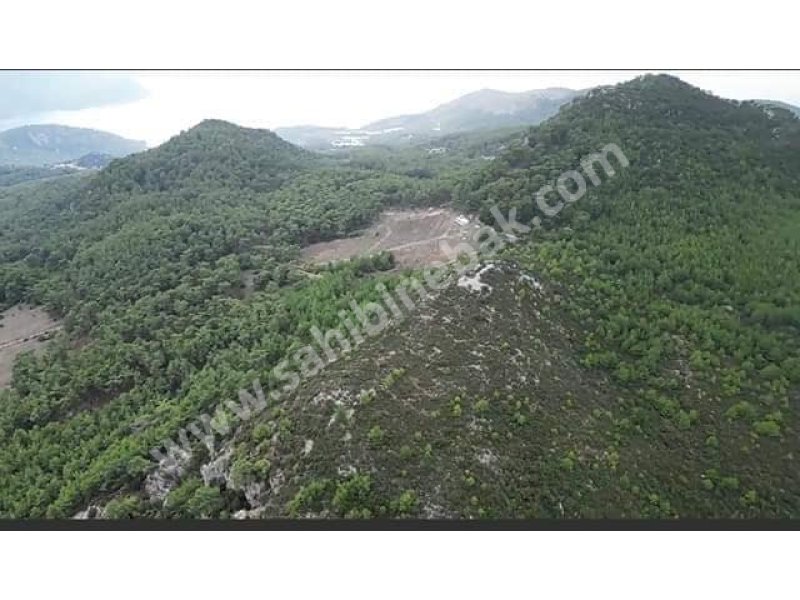 Antalya Kumluca Mavikent Mah. Satılık 165.000 m2 Arsa