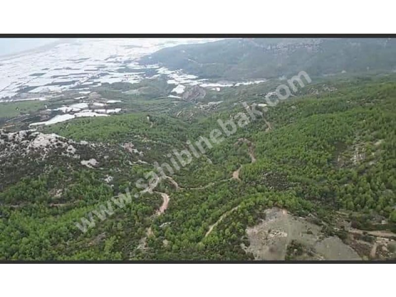 Antalya Kumluca Mavikent Mah. Satılık 165.000 m2 Arsa