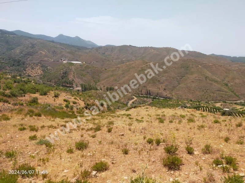 Antalya Kumluca Erentepe Mah. Satılık 1.560 m2 Arsa