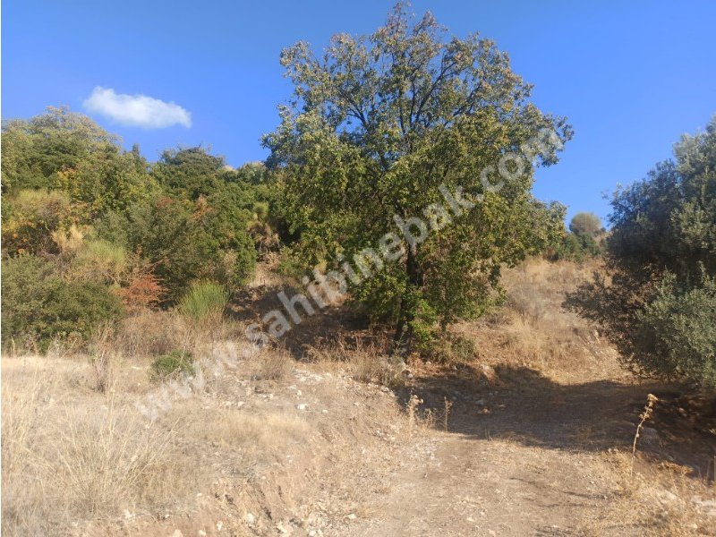 Antalya Kumluca Güzören Yatırımlık Deniz Manzaralı Satılık Tarla