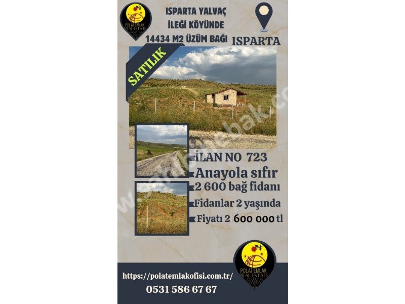 ISPARTA YALVAÇ İLEĞİ KÖYÜNDE SATILIK 14434 M2 ÜZÜM BAĞI