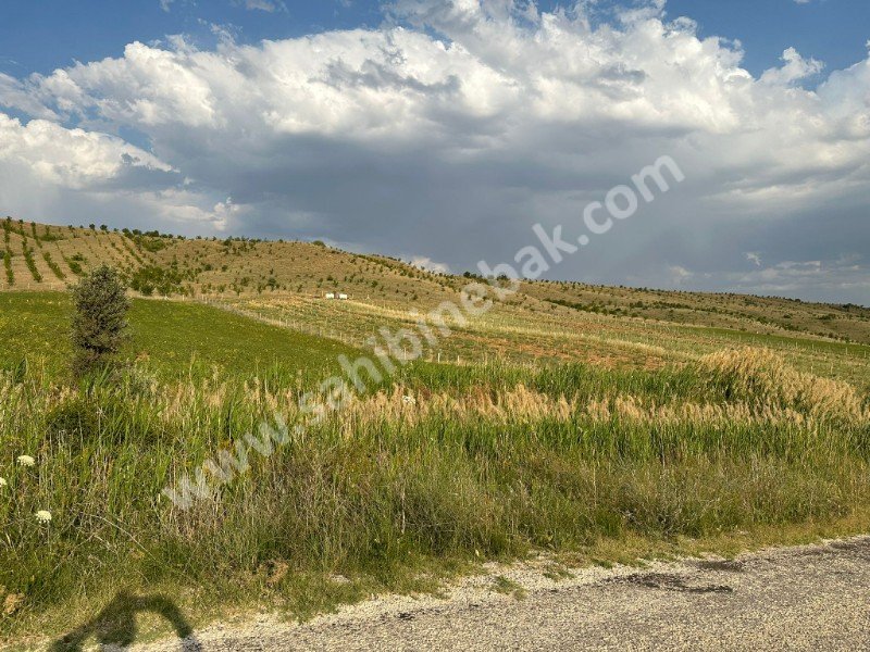 ISPARTA YALVAÇ İLEĞİ KÖYÜNDE SATILIK 14434 M2 ÜZÜM BAĞI