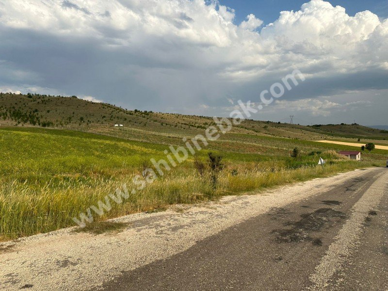 ISPARTA YALVAÇ İLEĞİ KÖYÜNDE SATILIK 14434 M2 ÜZÜM BAĞI