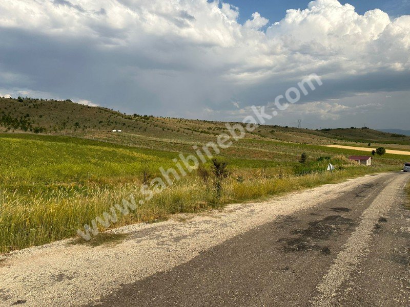 ISPARTA YALVAÇ İLEĞİ KÖYÜNDE SATILIK 14434 M2 ÜZÜM BAĞI