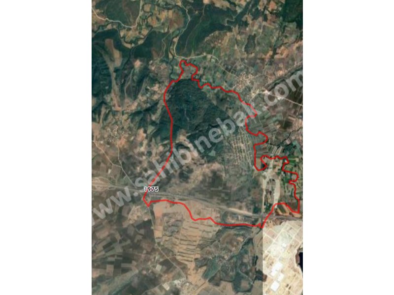 BURSA KARACABEY HÜRRİYET ASFALT DİBİ SATILIK 1556 m2 TARLA