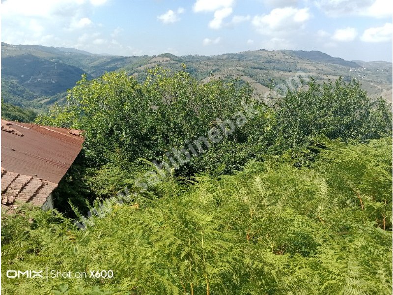 Yıldızalan DOĞA HARİKASI VİLLALIK KÖYİÇİ ÇOK GENİŞ Satlık Arsa