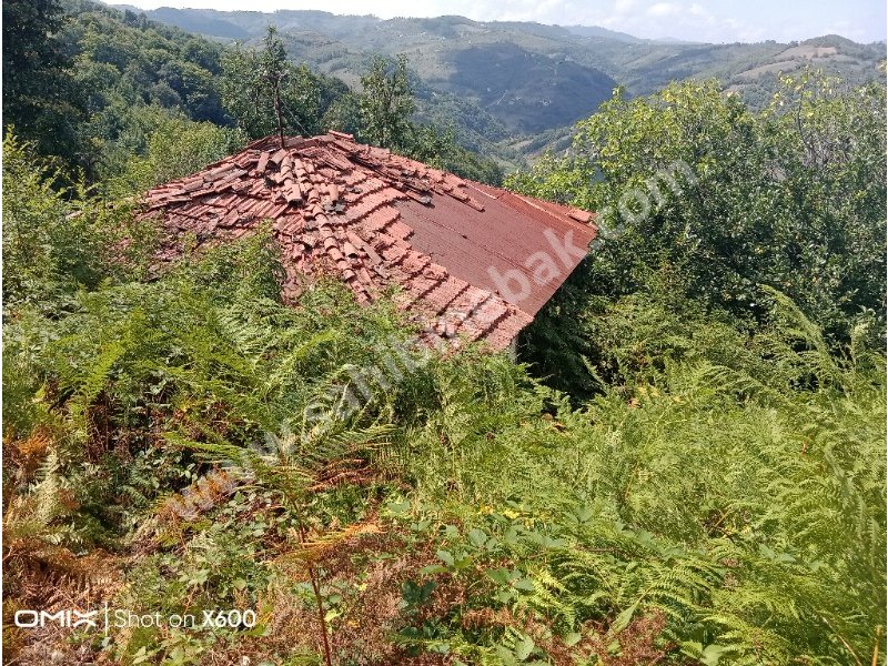 Yıldızalan DOĞA HARİKASI VİLLALIK KÖYİÇİ ÇOK GENİŞ Satlık Arsa